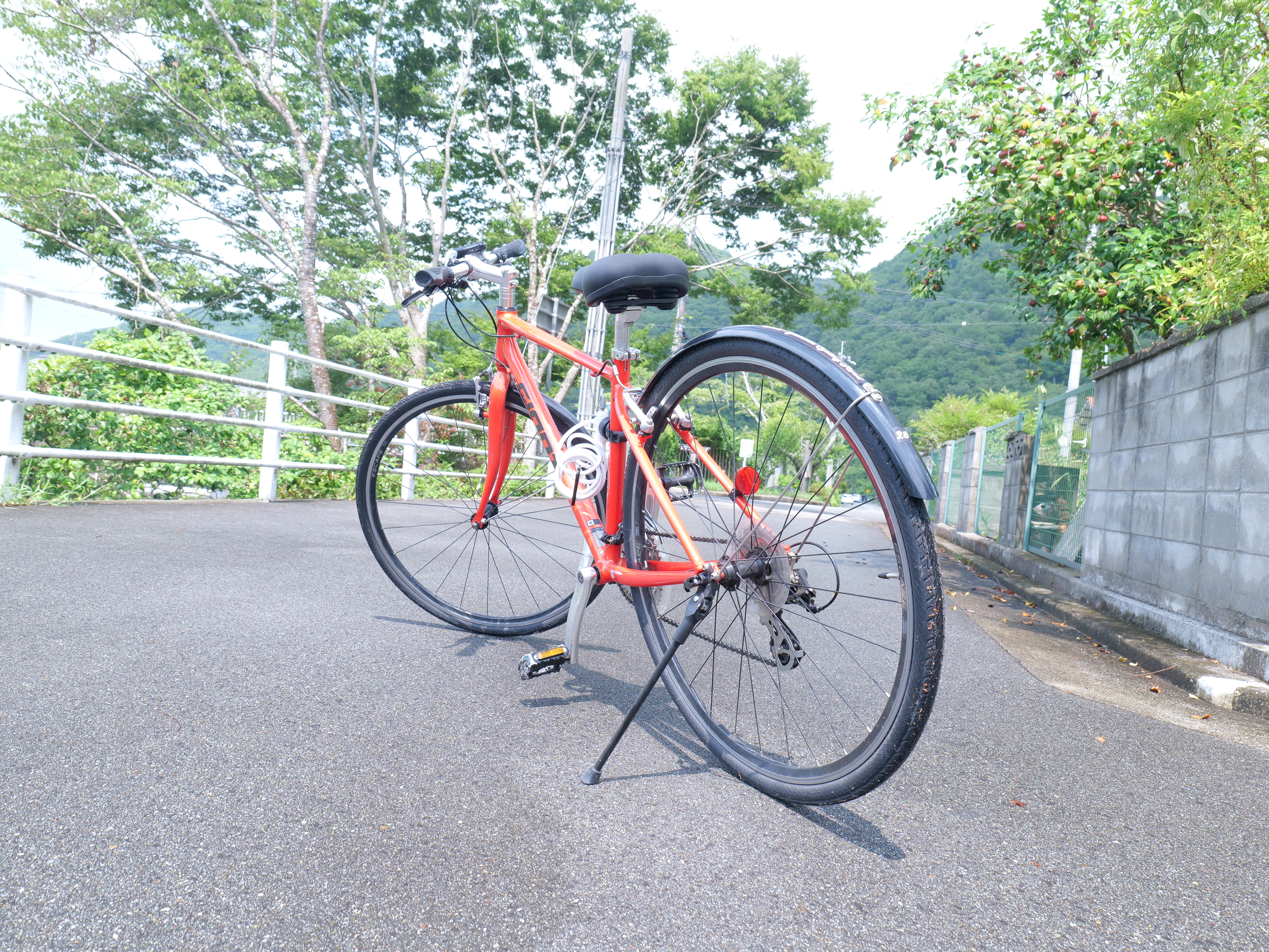 湖畔のサイクリングロード