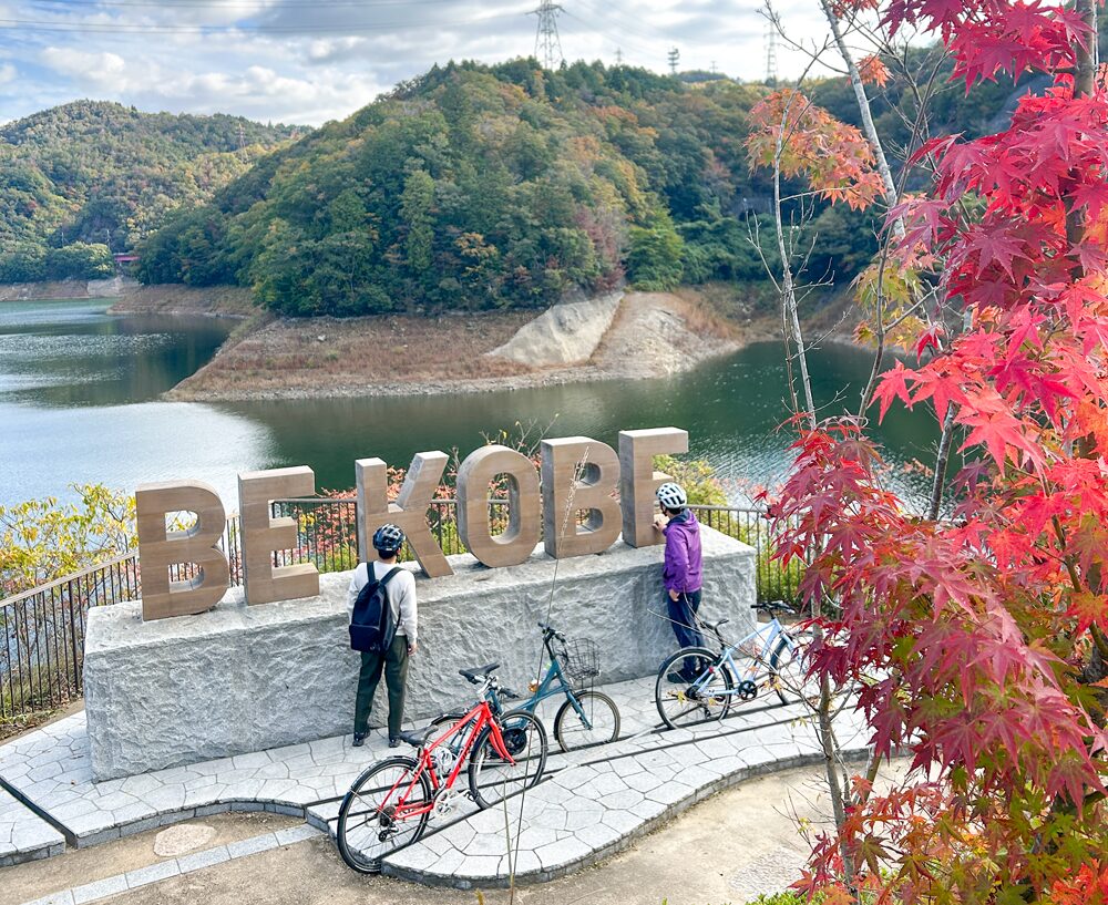 呑吐ダム周辺を見下ろす景色